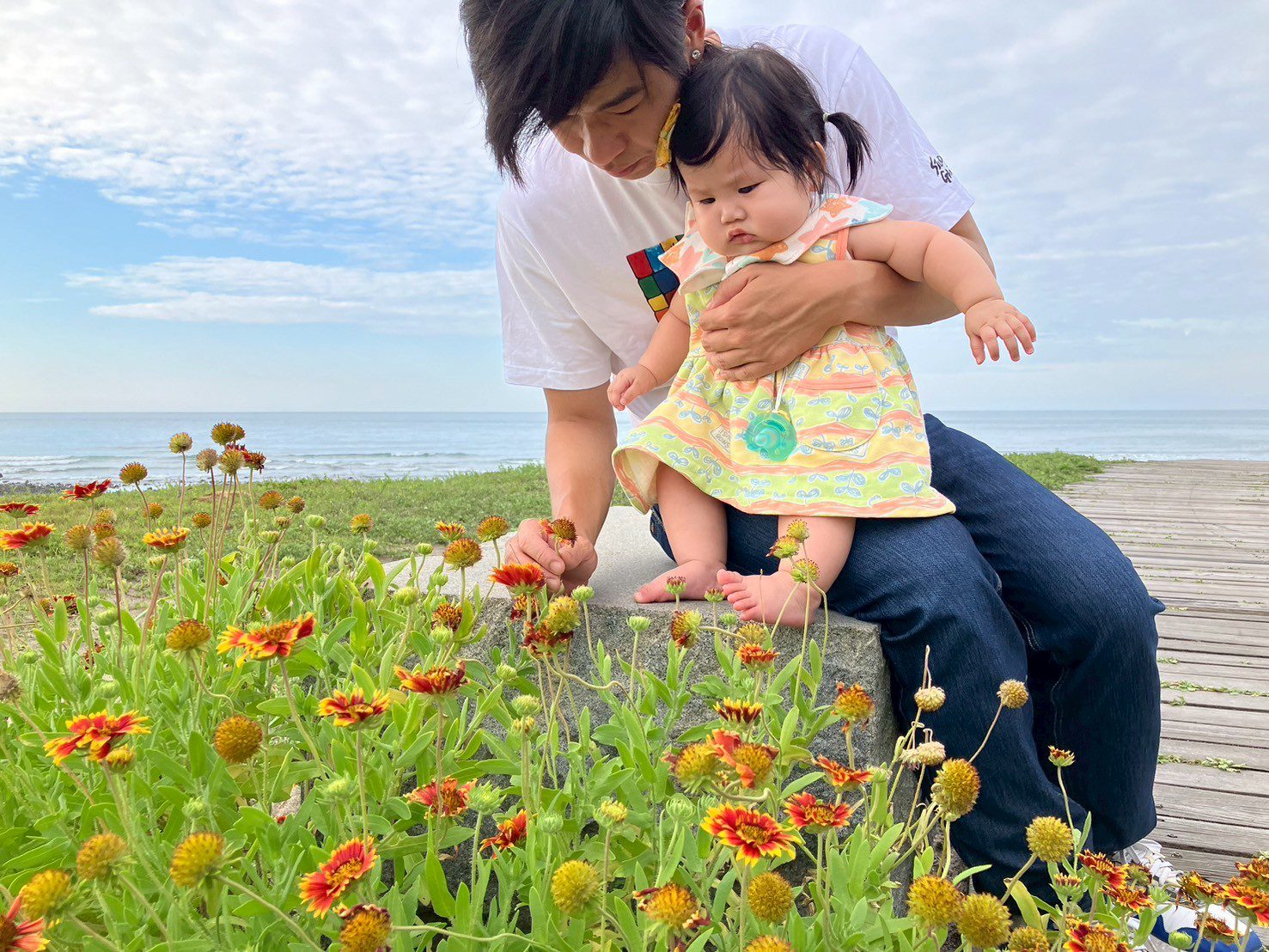 夏日新北石門、三重 天人菊百日草花海秘境療癒綻放中 - 睿傳媒 Rightmedia