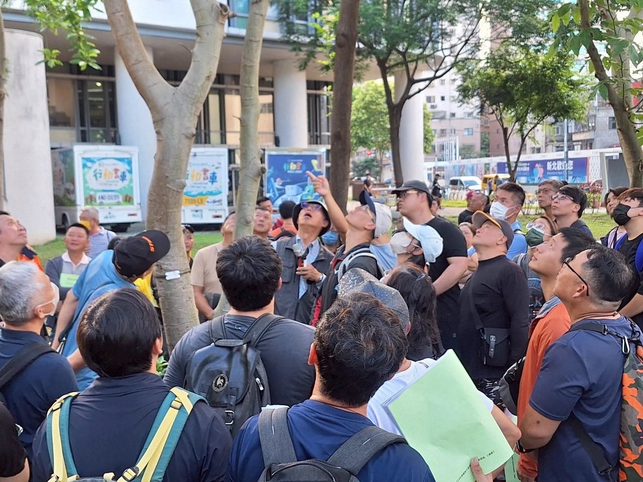 新北樹木修剪認證培訓  8月底開放報名