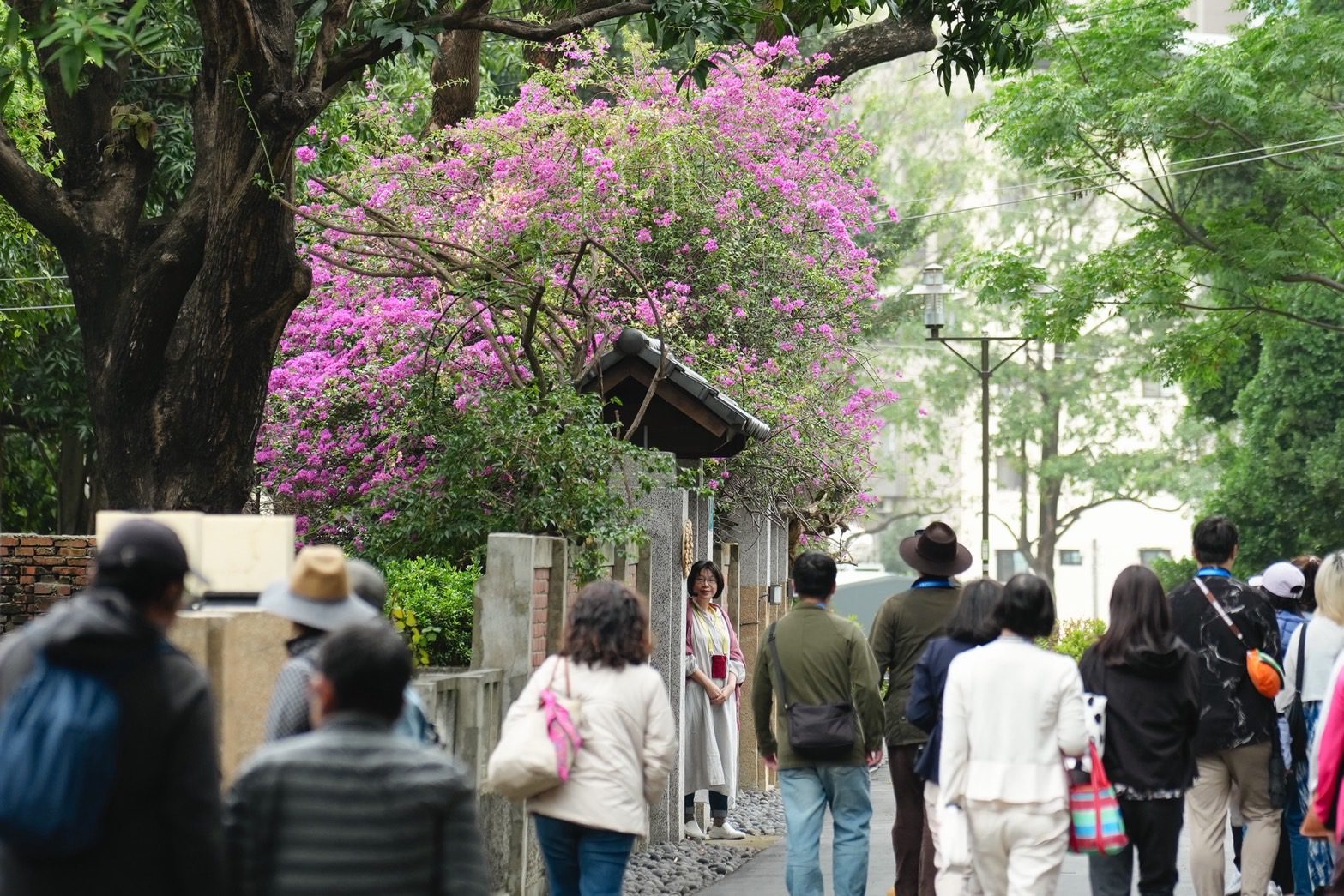 漫遊古蹟綠意  321巷藝術聚落7月1日起戶外午後開放