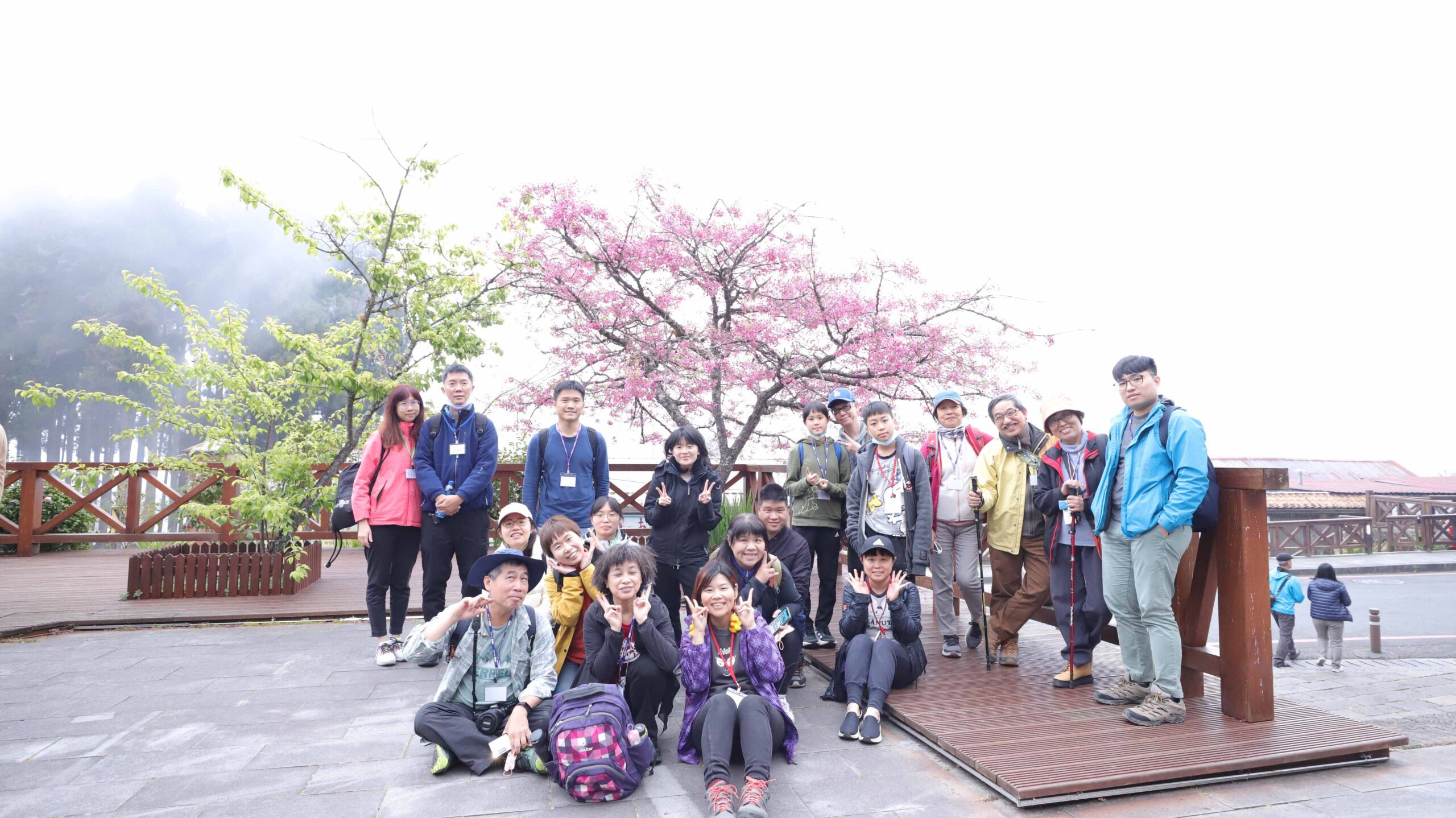 浪漫花海X星空之美  冬末初春「星動阿里山」