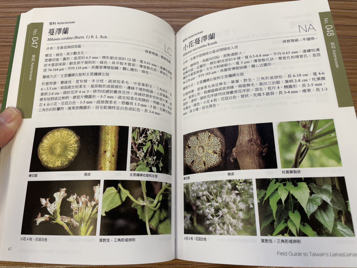 《藤本植物手冊》新書發表會暨羅東林業文化園區植物走讀