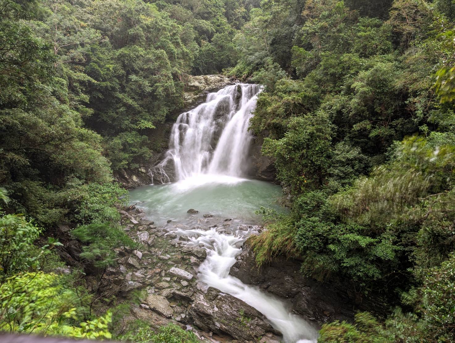 雙流國家森林遊樂區新春尋「馬」趣 拍照留言抽獨家限定好禮 - 睿傳媒 Rightmedia