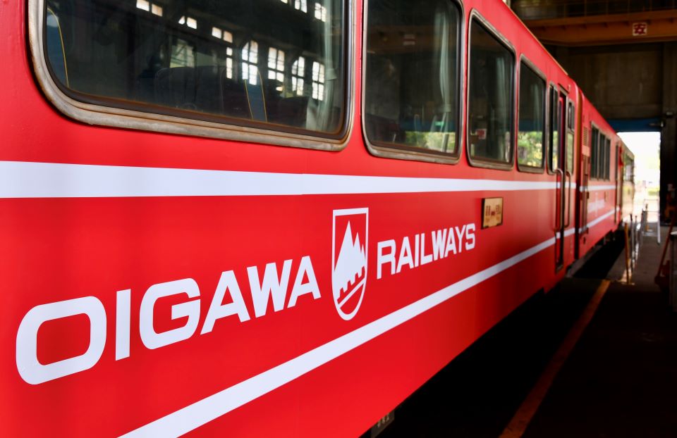 攜手40年「阿里山號 X井川線」 特色塗裝列車1月23日啟航 - 睿傳媒 Rightmedia