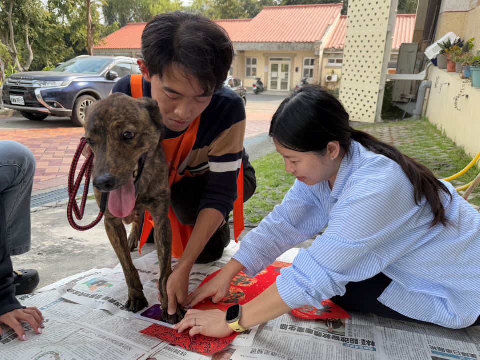 壽山收容所「毛星人」揮毫迎新春 浪浪腳印變身「梅花圖」萌翻全場 - 睿傳媒 Rightmedia