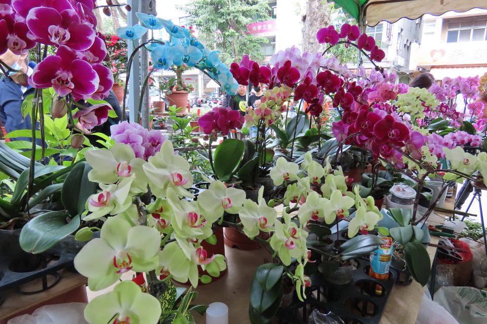 勞工公園迎春賞花添年味 金馬奔騰迎春花市暨花展 - 睿傳媒 Rightmedia