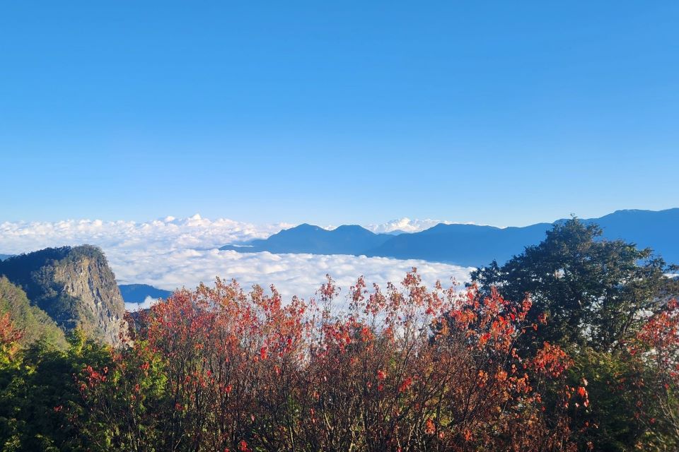春遊嘉義輕鬆來趟療癒小旅行 阿里山×高鐵國旅聯票優惠 - 睿傳媒 Rightmedia