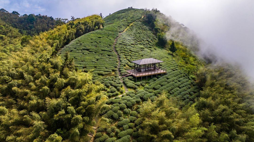 全臺百大農遊點與親子行程攻略 馬年走春農遊趣 - 睿傳媒 Rightmedia