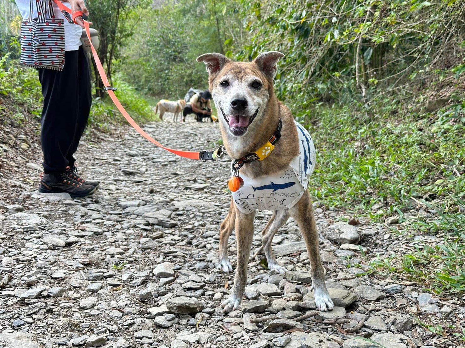 上山又下水  高雄OutDog GoGo戶外急救技能認證課開放報名中