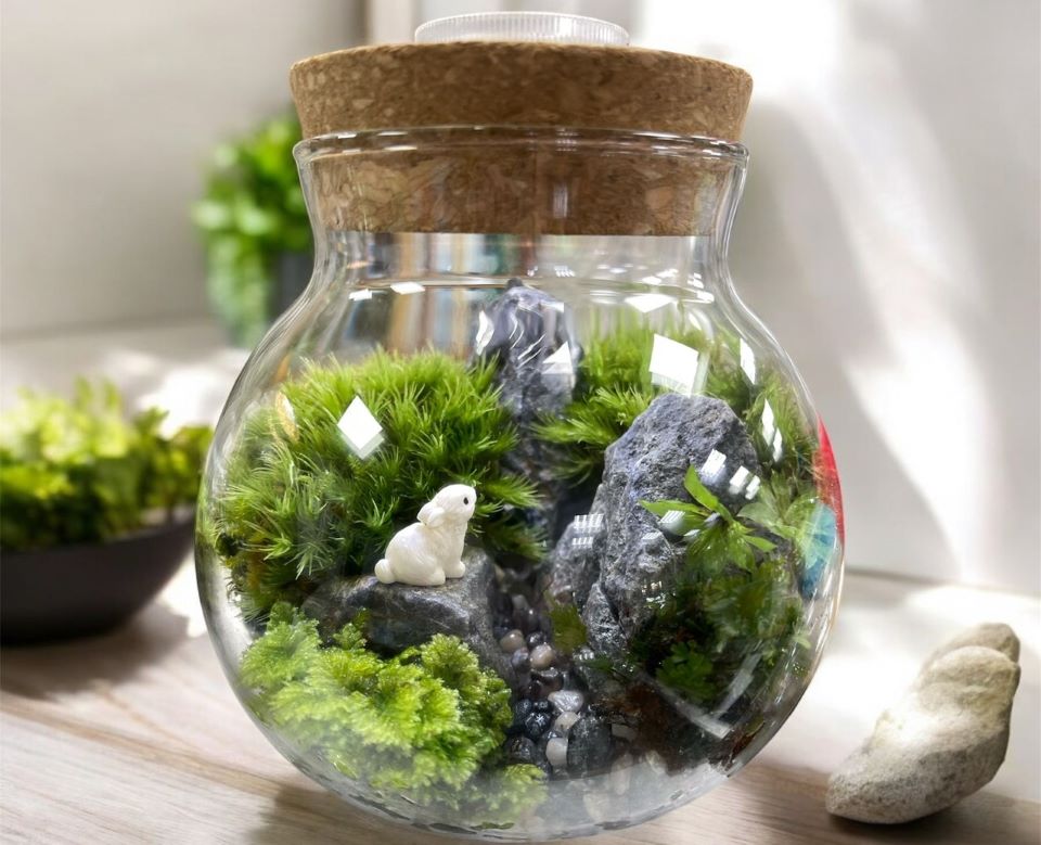 「把森林帶回家」療癒系手作體驗暖心開辦